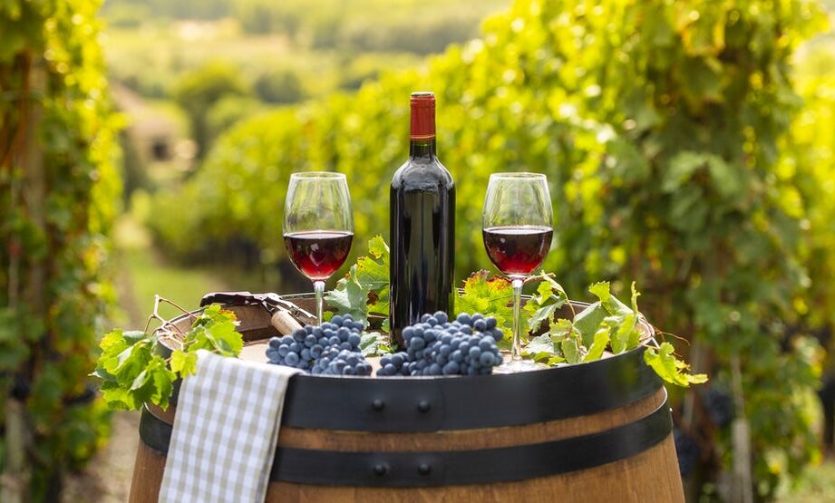как выбрать недорогое вино высокого качества