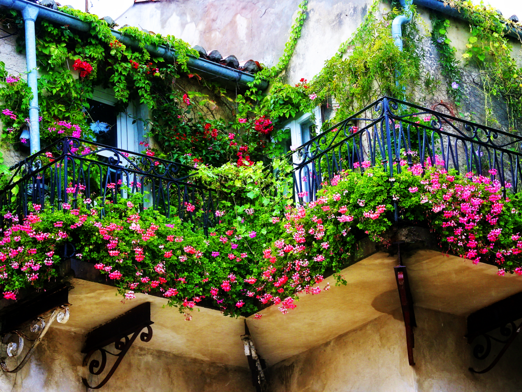 Украшение лоджий и балконов цветами