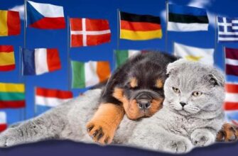 Перевозка животных по Украине и Европе
