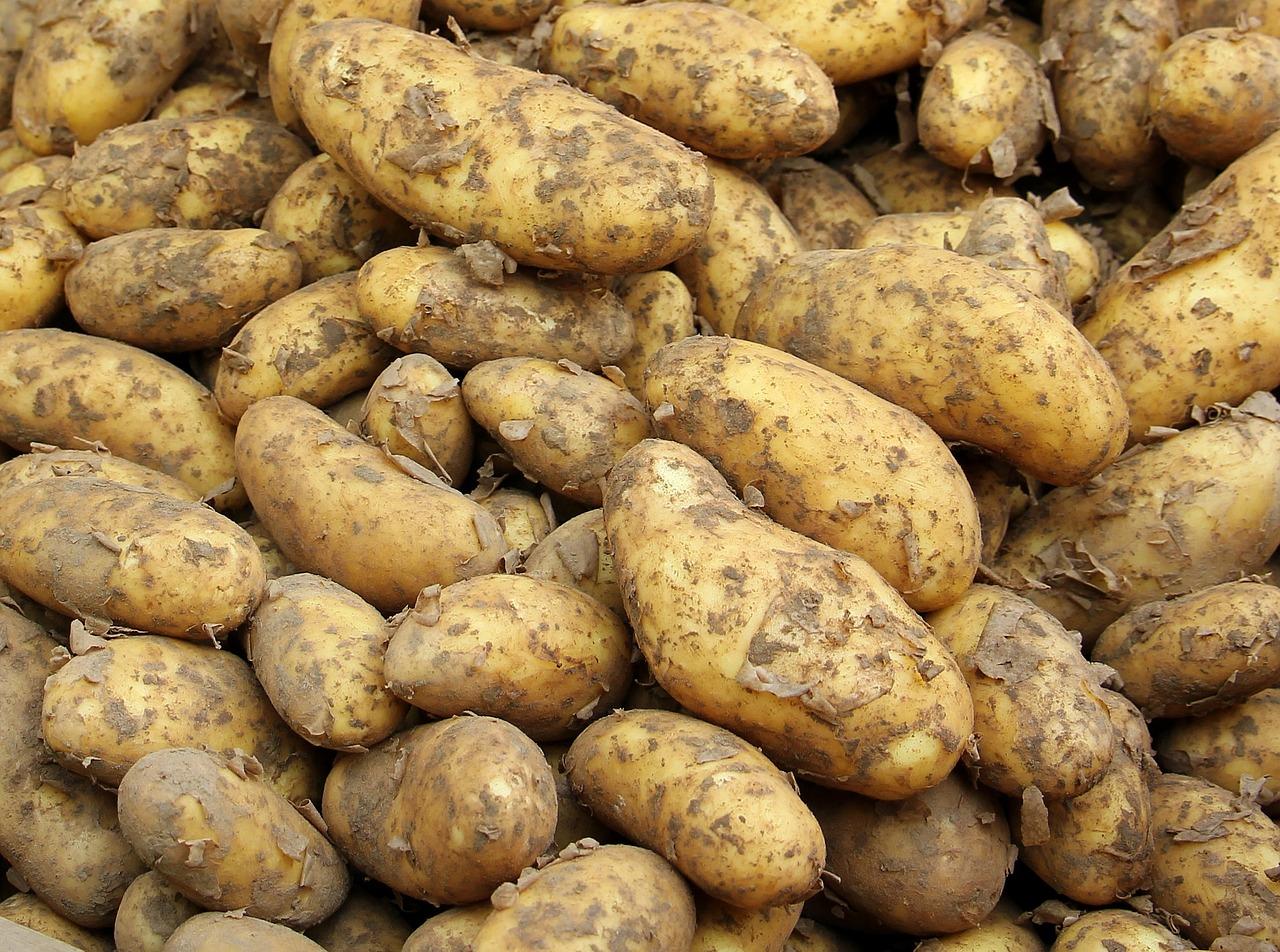 Картошка, Новый Урожай, Еда
